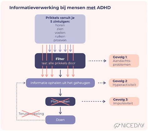 Hoe werkt ADHD